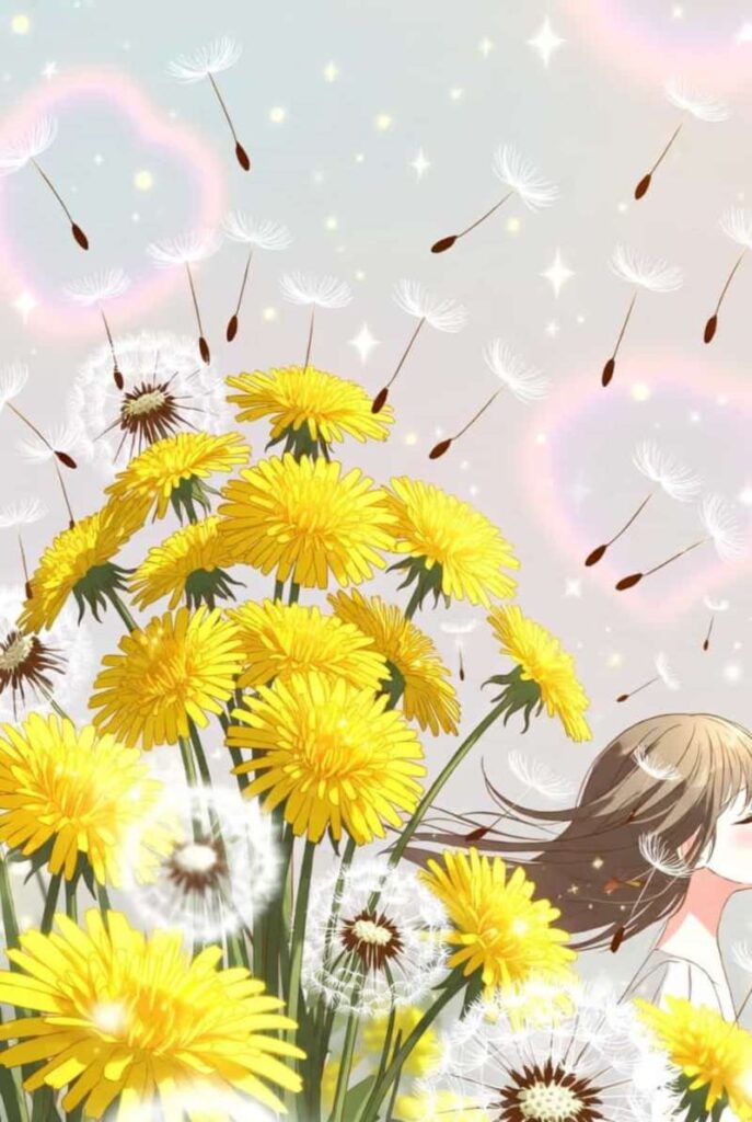 たんぽぽ