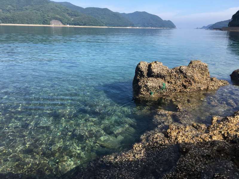 奈留島